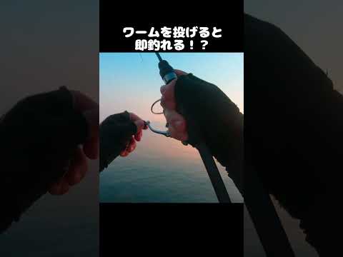 thumbnail_daI_FP3inpI