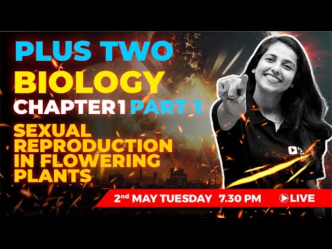 PLUS TWO BASIC BIOLOGY | CHAPTER 1 PART 1 | Sexual Reproduction in Flowering Plants | EXAM WINNER