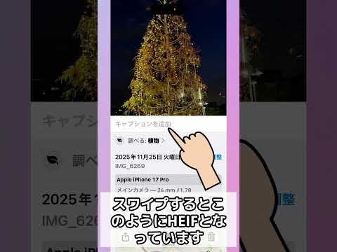 クリスマスにピッタリ！動画のような写真♪軽くて便利なiPhoneカメラ技 #70歳から楽しむスマホの使い方 #smartphone#撮って残して毎日を楽しむ　70歳からの簡単スマホカメラ使いこなし帖