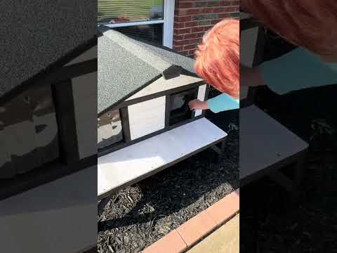 sweet gift for mom's cats