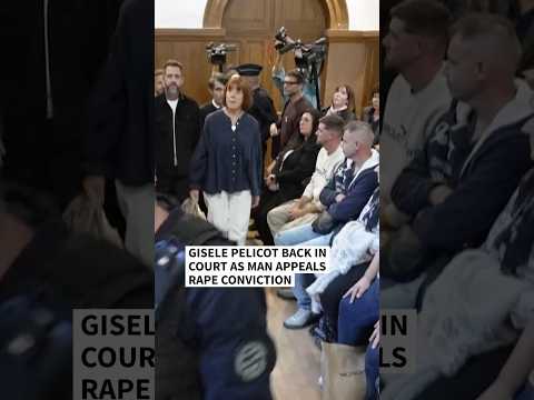 Feminist icon Gisele Pelicot back in court as man appeals rape conviction