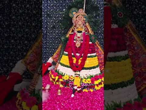 जय हो मेरे खाटू वाले की 🙏🙏🙏 श्याम बाबा का सुंदर नजारा🎊💥💥💯😎