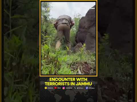 Encounter Between Security Forces And Terrorists In Bihali Area Of Basantgarh | WION