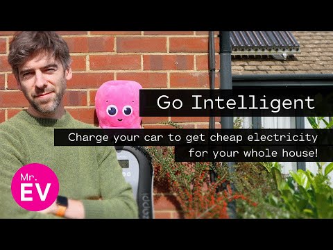 We've saved a fortune! Why Intelligent Octopus Go is such a popular tariff for EV drivers