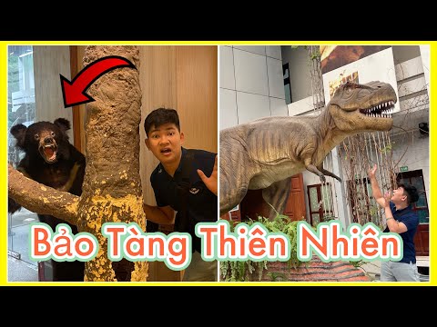 Ong Sâu Dế TV | Lần Đầu tiên đi bảo tàng thiên nhiên hoá thạch động thực vật