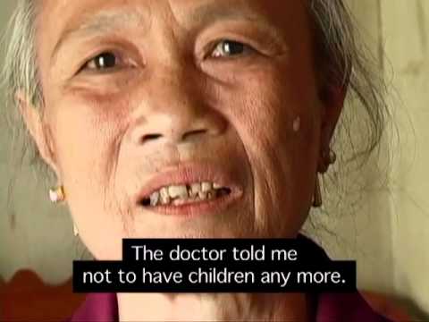"A Mother's Choice": clip from Agent Orange: Thirty Years Later by
John Trinh