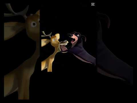 #music #memes #reaction