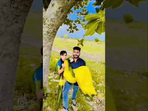 २०२५ ची वटपौर्णिमा...shraddhu#like#youtube#love#youtubeshort#instralover#shraddhudii#