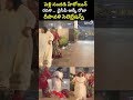 పెళ్లి సందడి హీరోయిన్ రవళి..వైసీపీఆర్కేరోజా దీపావళి సెలబ్రేషన్స్ Ycp Roja Ravali Viral | Prime9 News