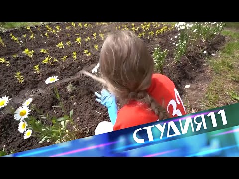 Студия 11. 31.05.2024