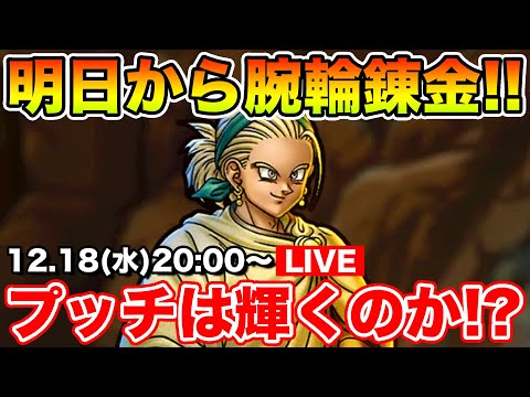 【ドラクエウォーク】明日遂にプッチが輝く…はず!! 腕輪錬金頑張りましょう!!【DQW】