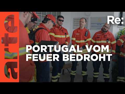 Portugals Kampf gegen Megafeuer | ARTE Re: