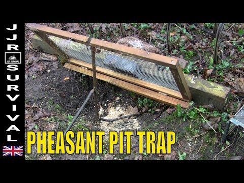 Pheasant Pit Trap