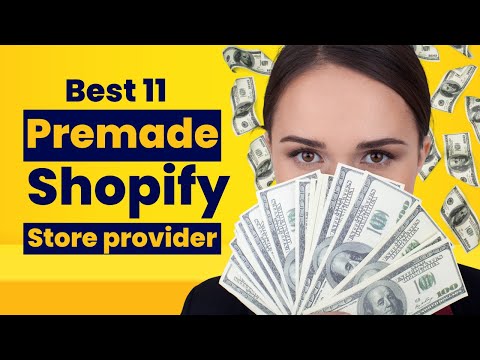 Shopify Store Authority: The 11 Best Providers for Online Retail