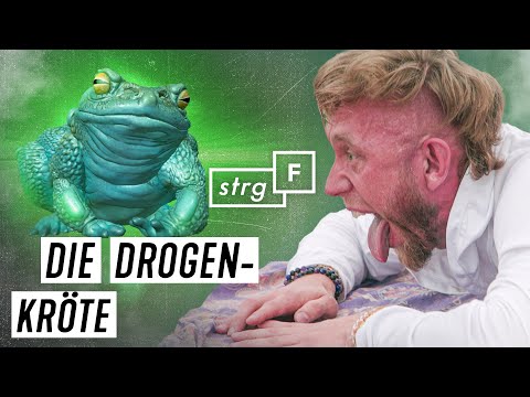 Medizin oder Droge: Wie wirkt das Gift der Bufo-Kröte? | STRG_F