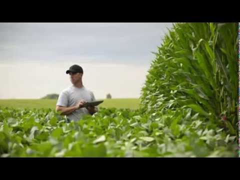 Новое приложение для аграриев от DuPont Pioneer