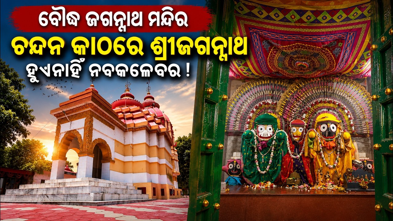 ଚନ୍ଦନ କାଠରେ ଶ୍ରୀଜଗନ୍ନାଥ, ହୁଏନାହିଁ ନବକଳେବର | Shree Jagannath | Rath Yatra 2026 | Argus News