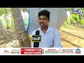 ప్రైమ్9 న్యూస్ తో కోడికత్తి శ్రీను సంచలన వ్యాఖ్యలు | Kodikatti Srinu | Prime9 News  - 02:39 min - News - Video