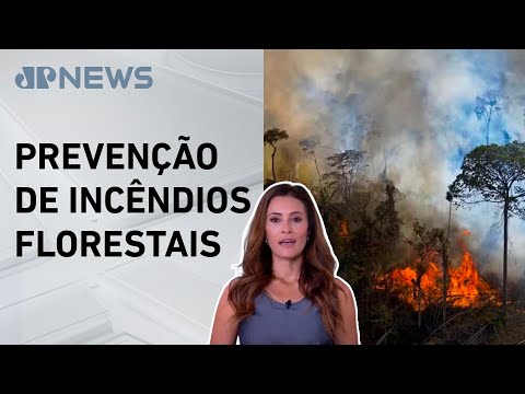 Trump suspende parceria com Brasil para combate a incêndios; Patrícia Costa analisa