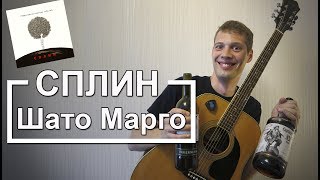 Сплин - Шато Марго (Разбор для гитары, видеоурок на гитаре Сплин, Аккорды)