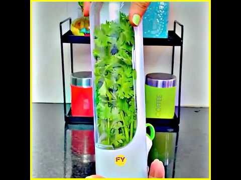 Fresh Herbs Longer 🌿 | Kitchen Hack || smart kitchen gadgets foryou #youtube #gadgests