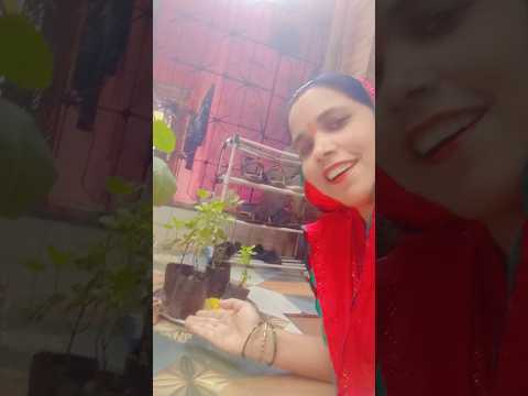 tulsa ki I Hai barat