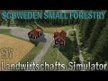 Sweden Small Forestry test Map v1.0.0.0