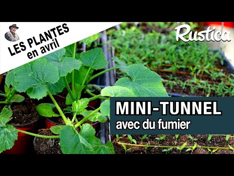 Potager surélevé - épisode 6 : avril, les plants peuvent sortir de la maternité.