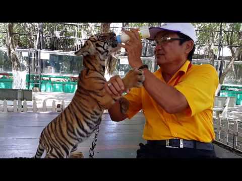 Vườn thú Đại Nam