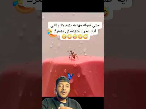 شوفوا النمله كيف ترتب شعرها 😂
