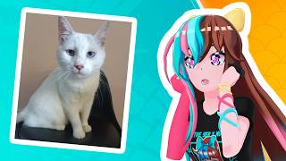 CONOCIENDO LAS MASCOTAS DEL CHAT【Aitzu Arashi 】