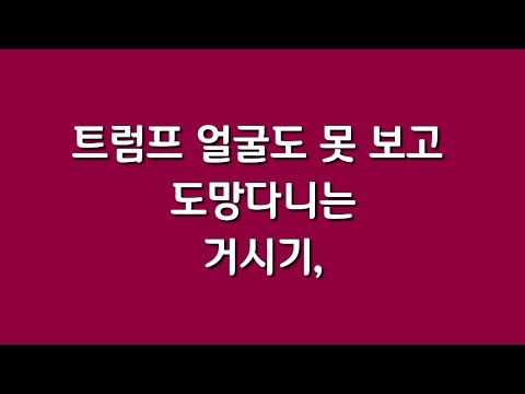 트럼프 얼굴도 못보고 도망다니는 거시기,