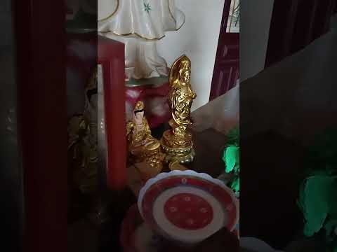 chùa Pháp Hưng ,Cần Đước Long An, #tuvingayhomnay #phongthuy12congiap #phatday