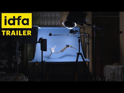 For Your Peace of Mind, Make Your Own Museum'