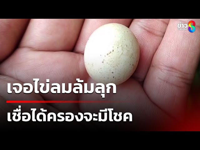 เจอไข่ลมล้มลุก เชื่อได้ครองจะมีโชค | 7 ก.ค. 68 | คุยข่าวเช้าช่อง8