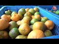 Maharashtra News: Nagpur में कम सर्दी पड़ने से संतरे की खेती को काफी नुकसान | AajTak | Weather News  - 01:52 min - News - Video