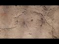 Childrens sketches of gladiator fights found in Pompeii | REUTERS