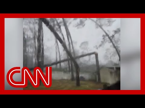 'Noooo!': Woman captures moment tree fell on her home