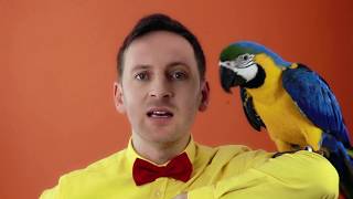 Miro Jaro - arovn slovka