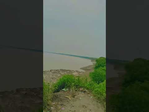 #sabse #pyara #❤️🌿🌿🌿🌿