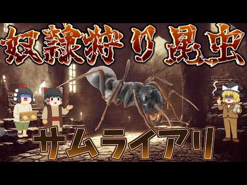 【ゆっくり解説】奴隷狩りをする昆虫！サムライアリ
