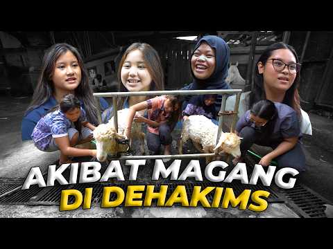 MAGANG DI DEHAKIMS TIDAK SESANTAI ITU!