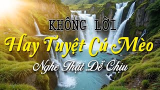Nhạc Không Lời Xưa Hay Tuyệt Vời, Với Ngón Đàn Điêu Luyện Cho Bạn Ngủ Ngon, Nhạc Phòng Trà