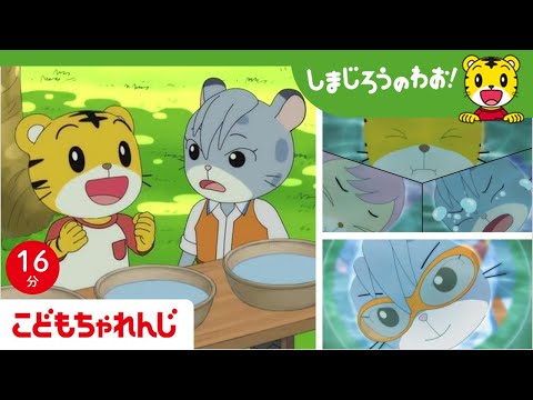【16分アニメ】プールにむけて、水に慣れよう！どのくらい顔をつけられるかな…？ | 苦手なことにも挑戦・諦めない | しまじろうのわお！アニメ | しまじろうチャンネル公式