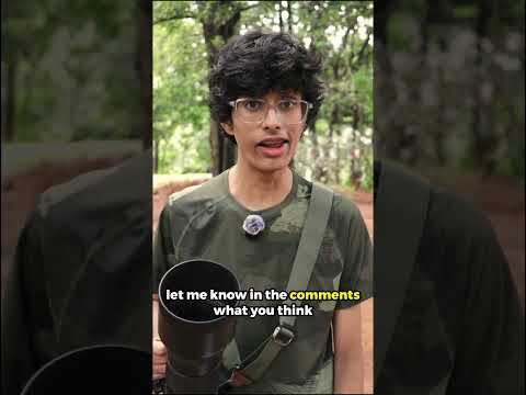 This is the most peaceful photo I have ever taken!