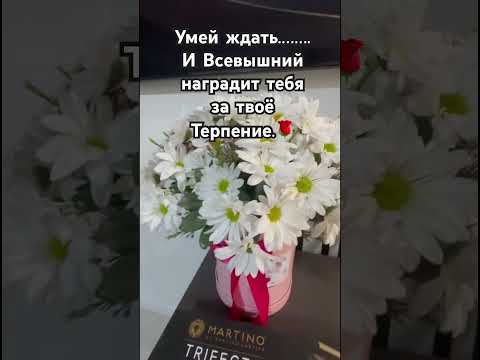 #ислам #love #субханаллах #терпение