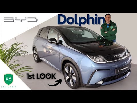 BYD Dolphin - 1st Look
