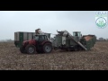 Miniatura video