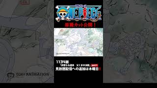 アニメ「#ONEPIECE」見放題配信への追加は木曜日‼️1134話‼️ #onepiece #原撮