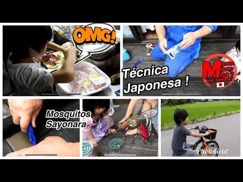 tecnica Japonesa para poner mosquitero+paseamos en bicy y casi me caigo+videoblogjapon